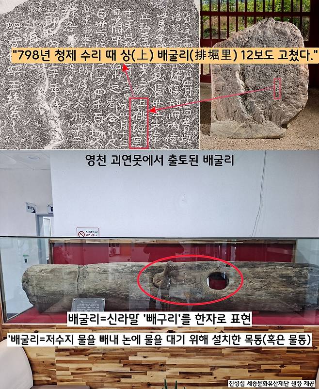 청제 ‘수리비(798)’에 등장하는 ‘상배굴리’라는 용어가 눈길을 끈다. ‘~상배굴리(上排堀里) 12보를 수리했다’는 내용이다. ‘배굴리’는 저수지 물을 빼내 논에 대기 위해 설치하는 목통(혹은 수통)이다. 지금도 영천 사람들은 ‘빼구리’라 한다. 신라인들은 한자 대신 ‘빼구리’라는 순 우리말을 한자 배굴리(排堀里)’로 표현한 것이다.|진성섭 세종문화유산재단 원장 제공