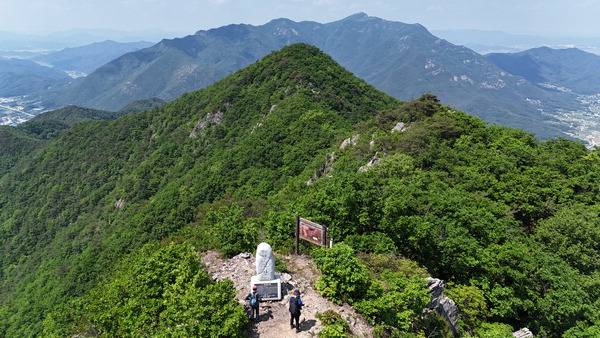 경북 김천·칠곡 ·성주 세 지자체가 만나는 영암산은 동서남북으로 조망이 열릴 만큼 전망이 빼어나다. 대형 정상석이 섰는 영암산 정상에서 취재팀이 드론을 날려 찍은 북쪽 조망인데 가운데 봉긋한 봉우리가 북봉이며 그 뒤로 도립공원 1호인 구미의 진산 금오산이 펼쳐진다.