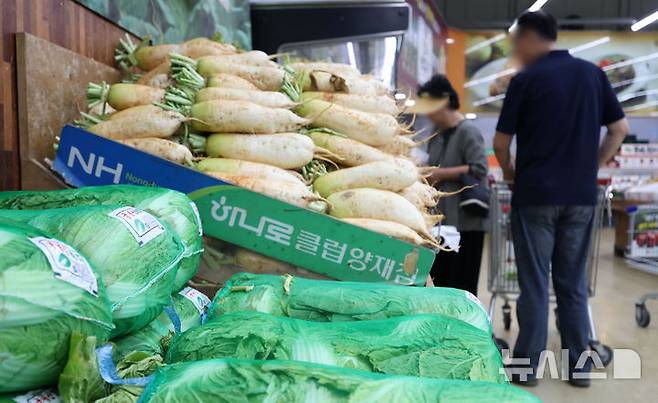 [서울=뉴시스] 김선웅 기자 = 서울 소재 유통매장에서 배추·무가 판매되고 있다. 2025.06.01. mangusta@newsis.com