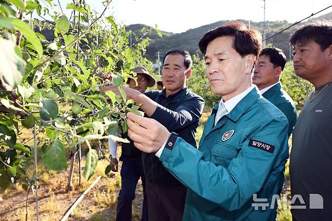 [밀양=뉴시스] 안병구 경남 밀양시장이 4일 최근 내린 우박으로 큰 피해를 입은 산내면 사과 재배 농가를 방문해 농업인을 위로하며, 현장을 둘러보고 있다. (사진=밀양시 제공) 2025.06.04. photo@newsis.com