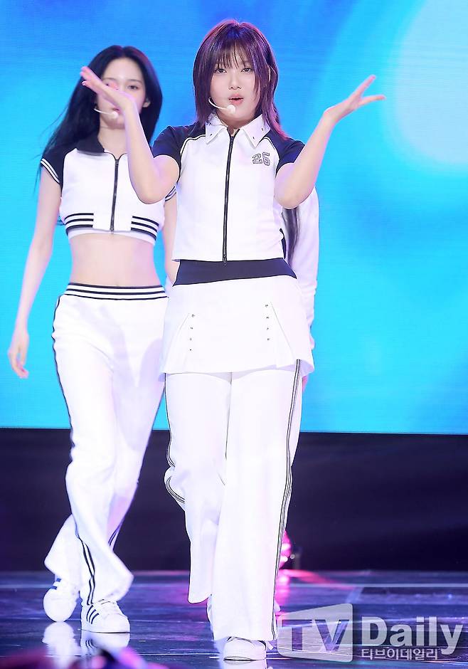 티브이데일리 포토