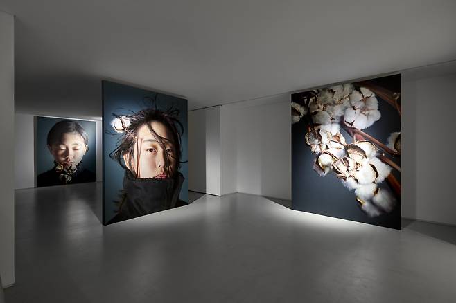 Johyun Gallery Seoul, Kang Kang Hoon Installation view Image 1