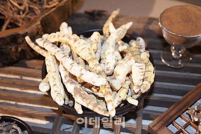 백수오 등 복합추출물의 주원료인 백수오.(사진=이데일리DB)