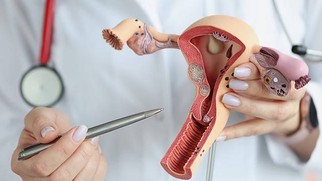 자궁내막증은 가임기 여성에게 흔히 나타나는 질환으로 월경통, 골반통, 난임 등을 유발한다｜출처: 클립아트코리아