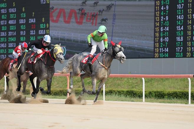 라온포레스트. 사진 | 한국마사회