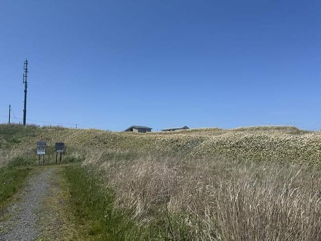 viewimage.php?id=23b2db27ebc637&no=24b0d769e1d32ca73de883fa1bd62531caf022a001a6328b8fcf4dbd347d71c79e5c7b61871f7f21be96f13a4f7f1dde51e9ef36912dfd8ad443e8e21e796b582a1ebf