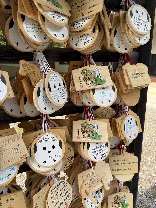 0490f719b58568f720b5c6b236ef203eb6f45d43880a6fca5f