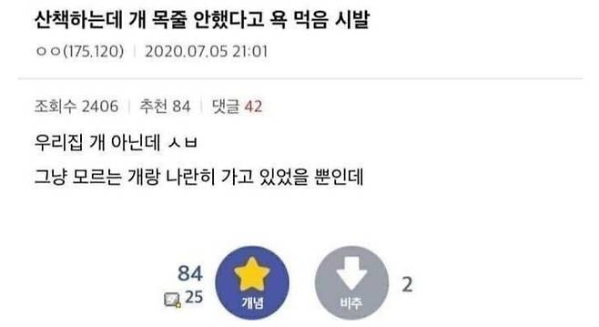 개 목줄안해서 욕먹은 사람