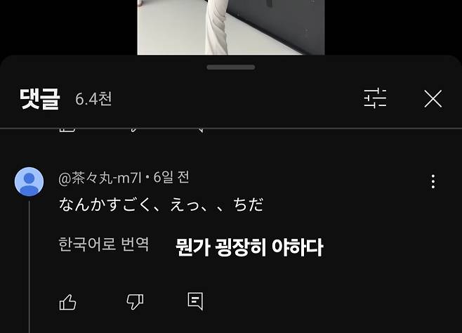Screenshot_20250605_170058_YouTube.jpg 태권도 영상에 관심있는 일본인 댓글에 대해 알아보자