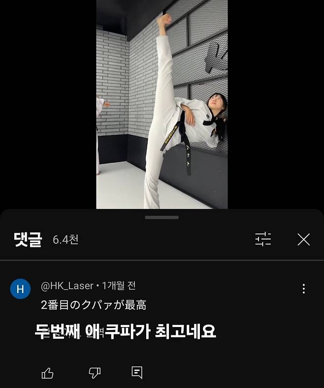 Screenshot_20250605_170248_YouTube.jpg 태권도 영상에 관심있는 일본인 댓글에 대해 알아보자