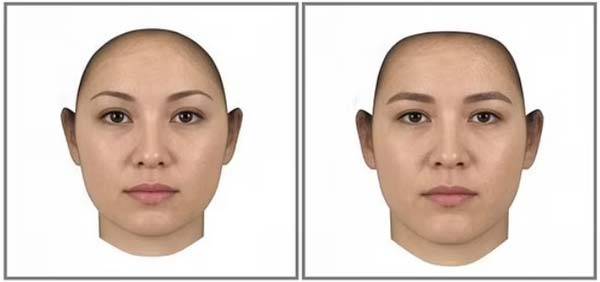 왼쪽부터 여성적인 특성이 두드러지는 얼굴과 남성적인 특성이 두드러지는 얼굴./사진=실험 심리학 저널