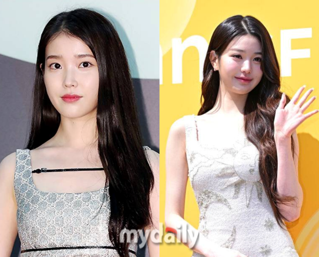 아이유, 장원영 / 마이데일리