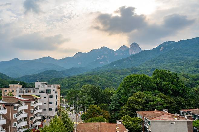 서울 도심 등산관광센터 루프톱에서 바라본 풍경