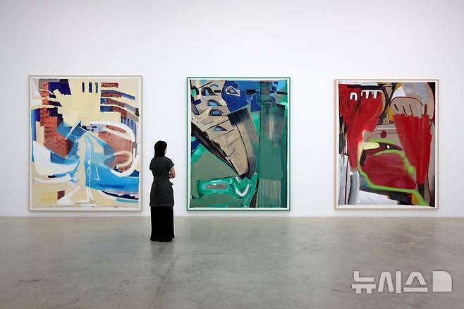 [서울=뉴시스] 박진희 기자 = 국제갤러리는 그룹전 'Next Painting: As We Are' 기자간담회를 5일 서울 종로구 국제갤러리에서 갖고 작가 김세은의 작품을 선보이고 있다. 이번 전시는 디지털 네이티브 작가 6인(고등어, 김세은, 유신애, 이은새, 전병구, 정이지)이 속도감과 몰입감을 요구하는 동시대의 이미지를 민감하게 포착하여 가장 오래된 매체인 회화의 물질성과 역사성에 대해 각기 다른 관점으로 해석한 작품을 선보인다. 2025.06.05. pak7130@newsis.com