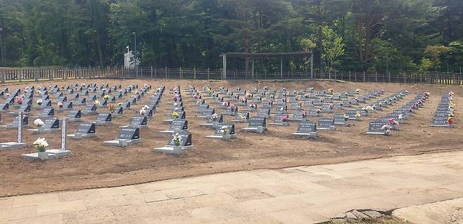 가득 찬 제주호국원 묘역