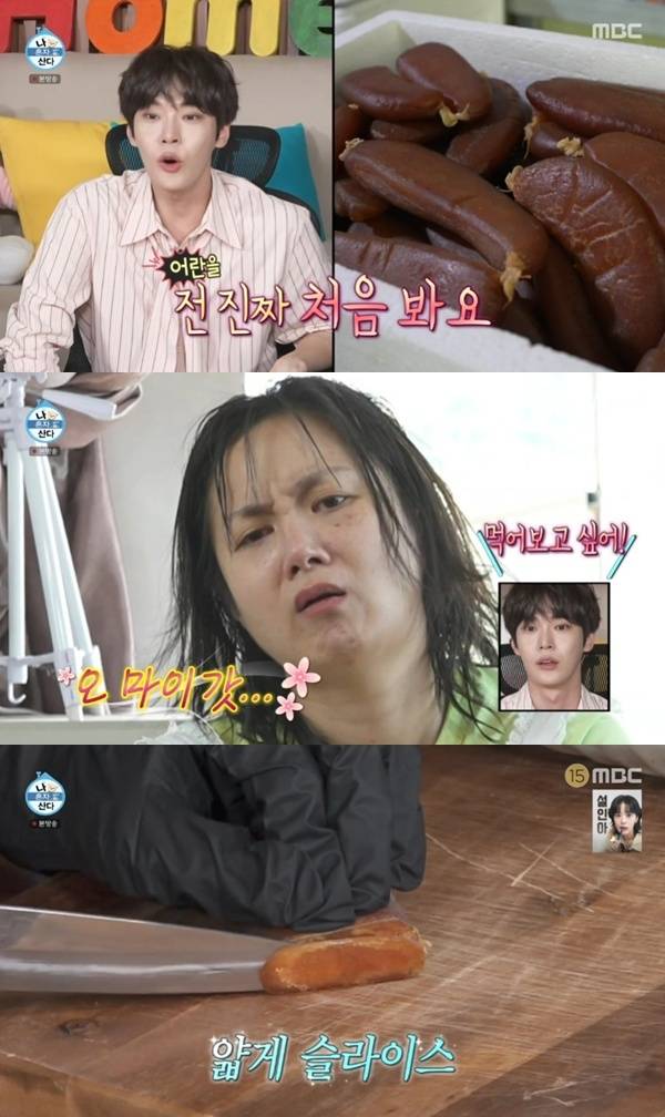 MBC '나 혼자 산다'