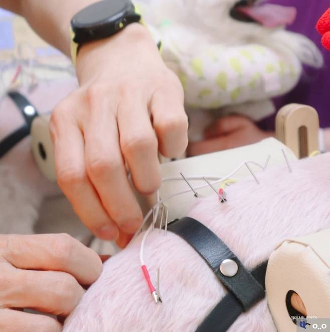 1000013590.jpg 강아지 한방 침 치료