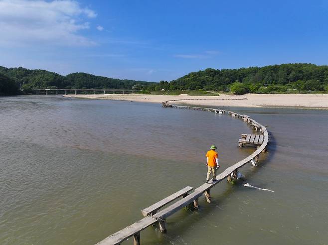 영주 무섬마을 외나무다리