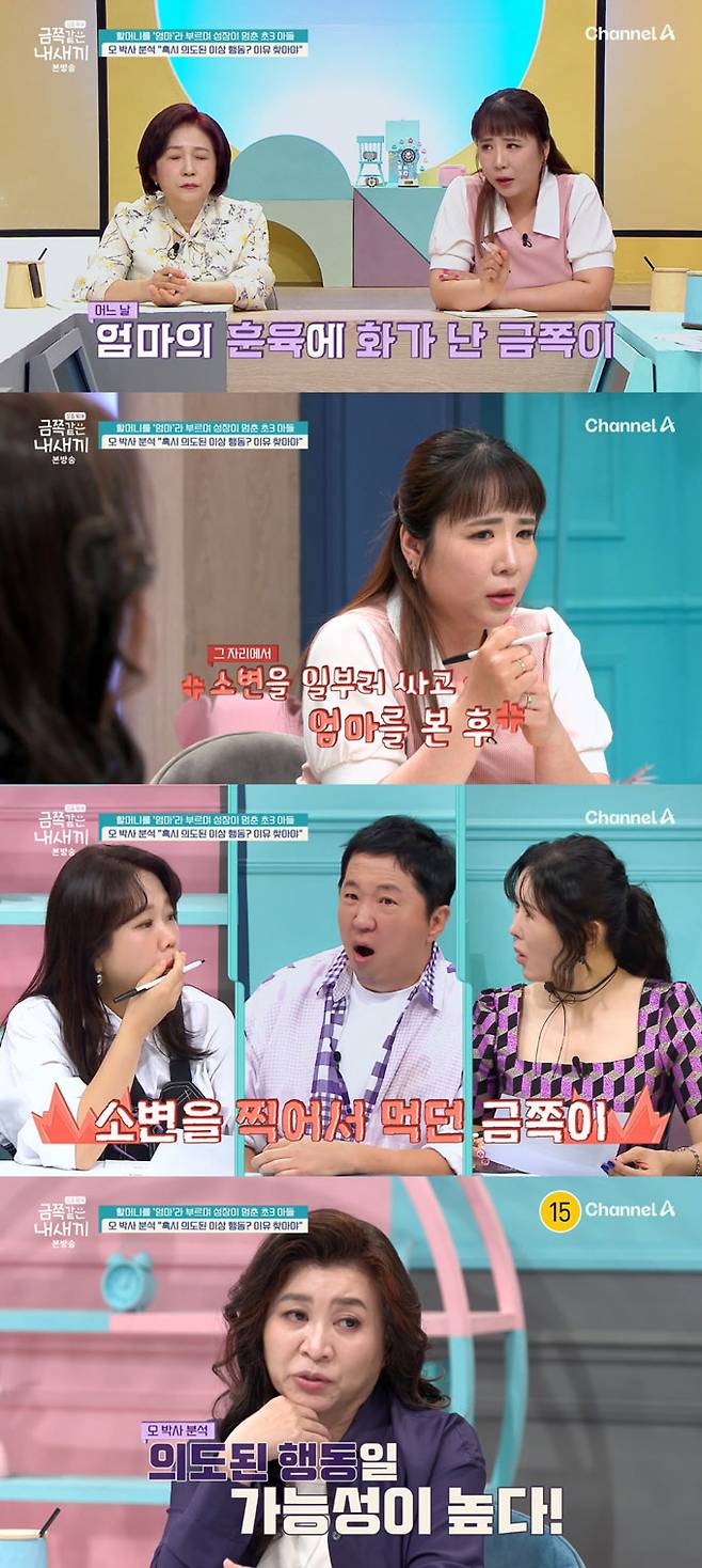 할머니를 폭행하고 자해까지 하는 등 이상행동을 보이는 10살 금쪽이의 모습이 충격을 안겼다./사진=채널A '요즘 육아-금쪽같은 내 새끼' 방송 화면
