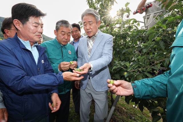강호동 농협중앙회장(맨 오른쪽)이 5일 경남 밀양시 산내면의 우박 피해 사과 과수원을 찾아 농장주 김종원씨(맨 왼쪽부터), 오흥석 농협중앙회 이사(경남 하동 지리산청학농협 조합장) 등과 피해 현황을 살펴보고 대책을 논의하고 있다. 밀양=이종수 기자