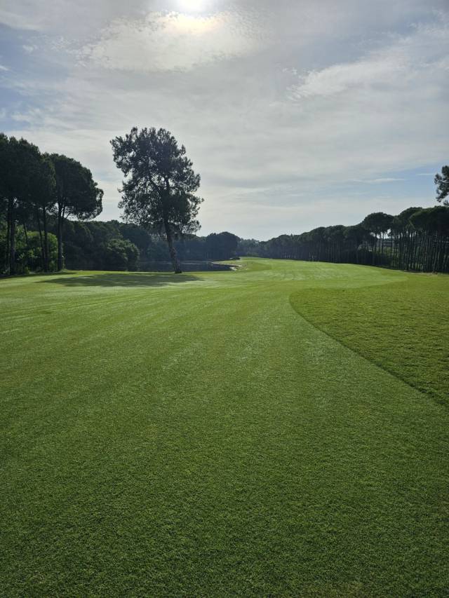 코넬리아GC의 페어웨이.