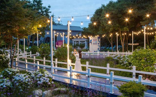 지난해 장생포고래문화마을 테마정원 수국. 사진제공=울산시