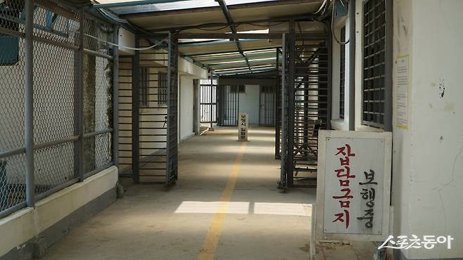 옛 장흥 교도소 건물과 공간을 활용한 복합문화공간 장흥 빠삐용Zip. 2015년까지 교정시설로 운영했던 이곳에서는  ‘더 글로리’를 비롯해 드라마와 영화 70여 편을 찍었다                장흥｜김재범 기자 oldfield@donga.com