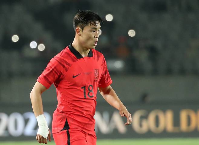 오현규.  정지윤 선임기자