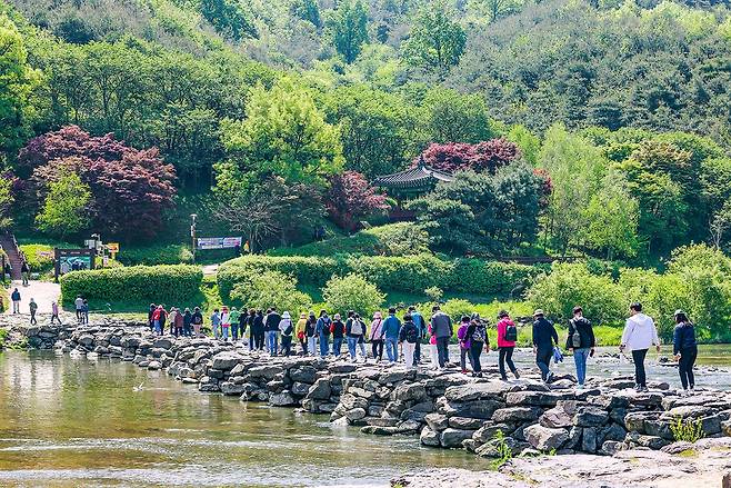 농다리를 건너는 관광객들[사진/임헌정 기자]