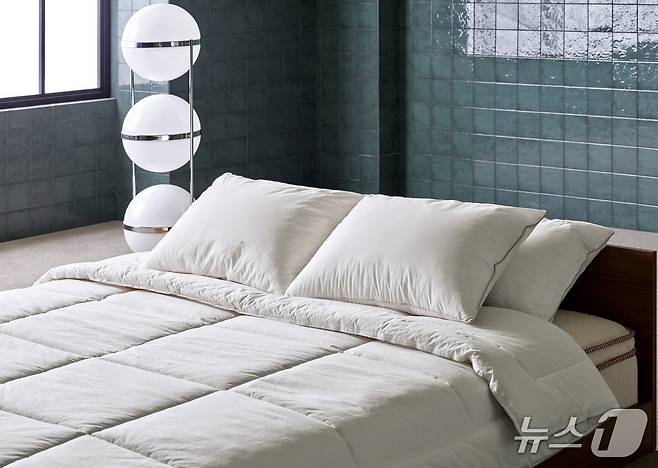 N32 아이슬란드 씨셀 화이버 필로우 (N32 제공)