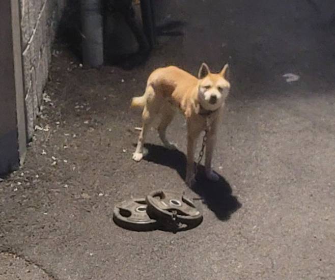 (인스타그램 갈무리)