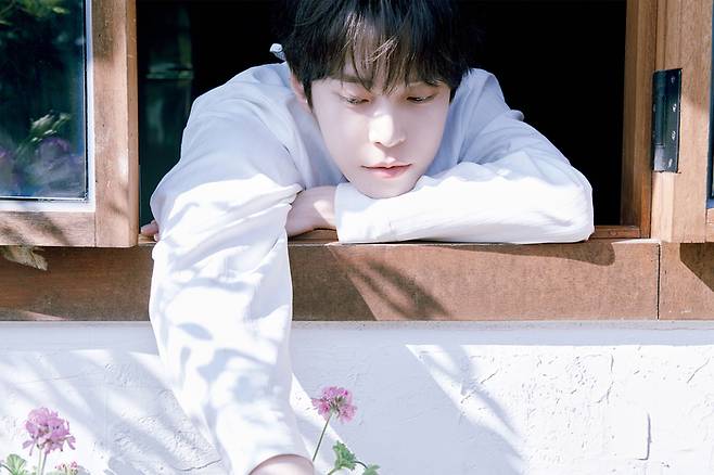 NCT 도영. 사진 | 에스엠엔터테인먼트