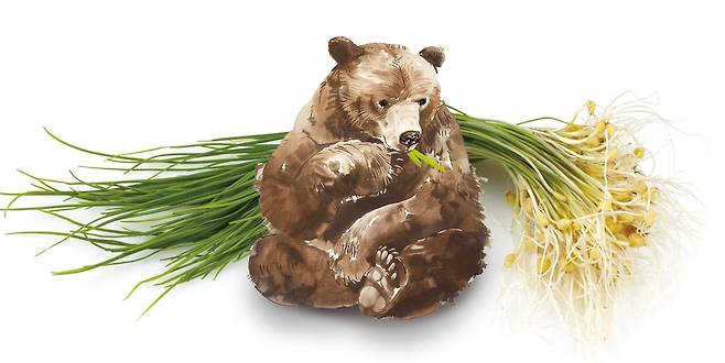 일러스트=송윤혜