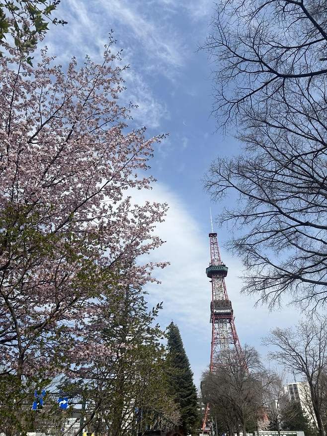 viewimage.php?id=23b2db27ebc637&no=24b0d769e1d32ca73de883fa1bd62531caf022a001a6328b8fcf4dbd347d73c7971df1f3ce48a082af40d5d024424c736756d55e336cb4824e955bcdc7831d9889235c