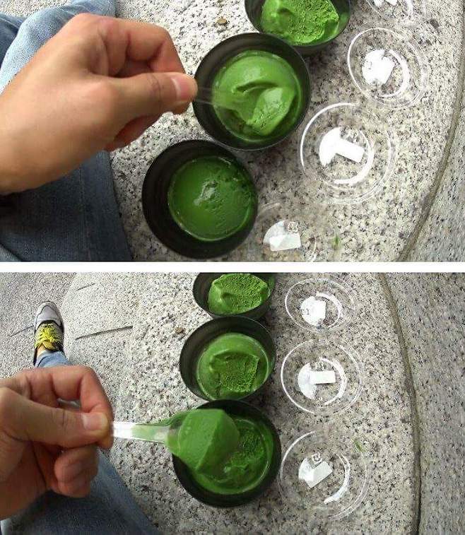 일본에서 엄청 핫했던 7단계 녹차 아이스크림