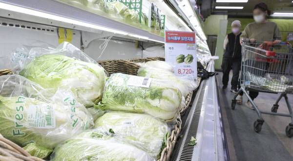 기사와 관련 없는 자료사진. 경기일보DB