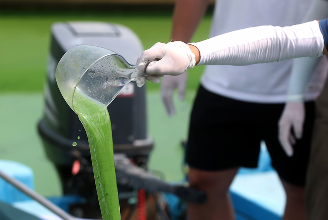 지난해 낙동강네트워크·대한하천학회·환경운동연합 등 환경단체가 경남 김해시 대동면 대동선착장에서 기자회견을 열고 녹조를 확인하고 있다. [연합]
