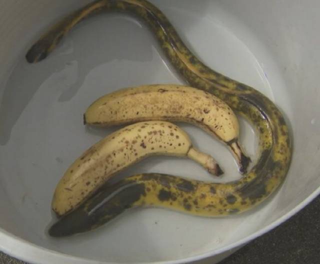 [산인방송 캡처]