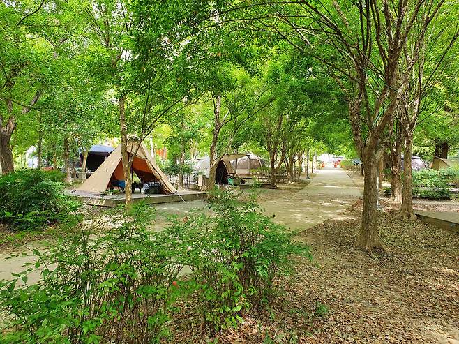 [세종=뉴시스]야영장 모습. photo@newsis.com **위 사진은 기사 내용과 무관합니다. *재판매 및 DB 금지