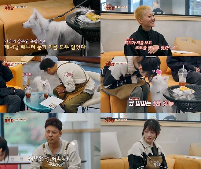 JTBC ‘집 나가면 개호강’