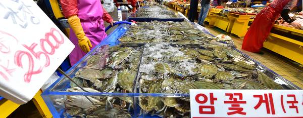 이상기온 등으로 인천시 옹진군 연평도를 비롯한 꽃게 주산지의 어획량이 급감해 어민들이 어려움을 겪고 있는 가운데 지난 5일 인천의 한 대형종합어시장에서 꽃게가 판매되고 있다. 2025.6.5 /조재현기자 jhc@kyeongin.com