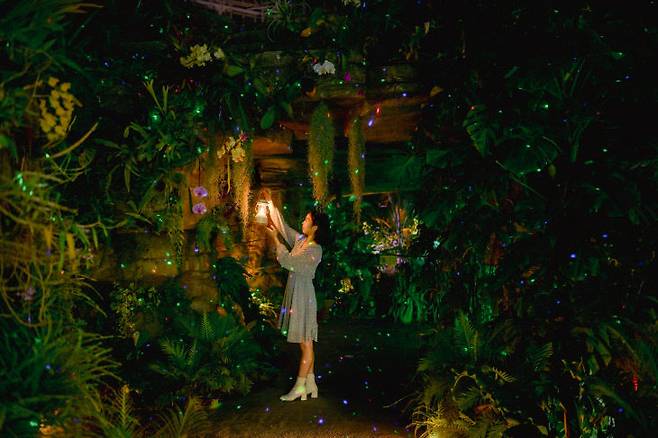 국립세종수목원 사계절 전시온실의 몽환적인 야경. 사진=한수정 제공.