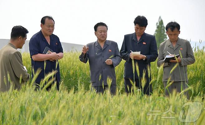 (평양 노동신문=뉴스1) = 북한 노동당 기관지 노동신문은 8일 최룡해 최고인민회의 상임위원장이 황해남도의 여러 부문 사업을 현지에서 료해(파악)했다고 보도했다. [국내에서만 사용가능. 재배포 금지. DB 금지. For Use Only in the Republic of Korea. Redistribution Prohibited] rodongphoto@news1.kr