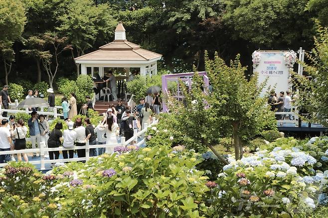 8일 울산 남구 장생포 고래문화마을 일원에서 ‘제4회 장생포 수국 페스티벌’이 열려 나들이객로 붐비고 있다. 2025.6.8/뉴스1 ⓒ News1 김세은 기자