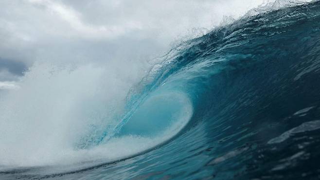 연구에 따르면 전 세계 바다의 21%가 더 어두워졌다