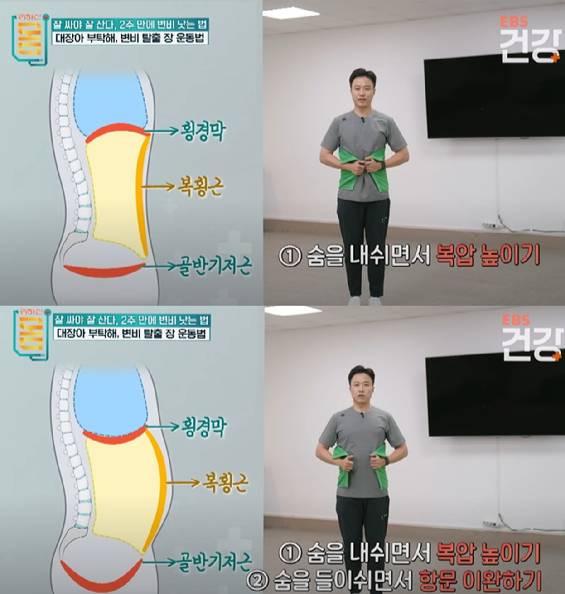 집에서 할 수 있는 장 운동법 중 복횡근 강화 운동. [사진=EBS]
