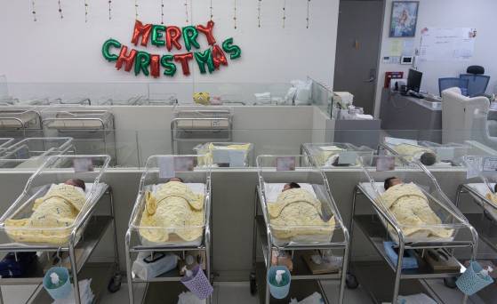 서울의 한 여성병원에서 신생아들이 휴식을 취하고 있다. [뉴스1]