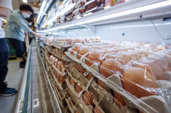 서울의 한 대형마트에서 계란 고르는 시민. 뉴스1