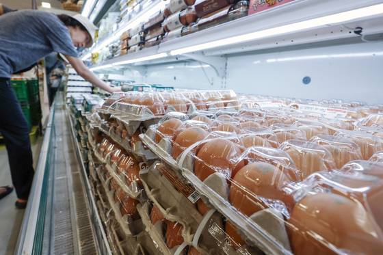 Shoppers select eggs at a large supermarket in Seoul on June 8. [NEWS1]