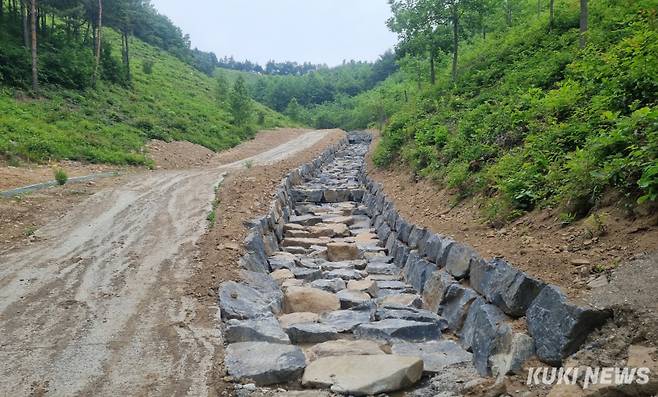 충남도 산림자원연구소가 사방댐 설치로 계류보전사업을 완료한 보령시 웅천읍 수부리 산 24번지 모습.